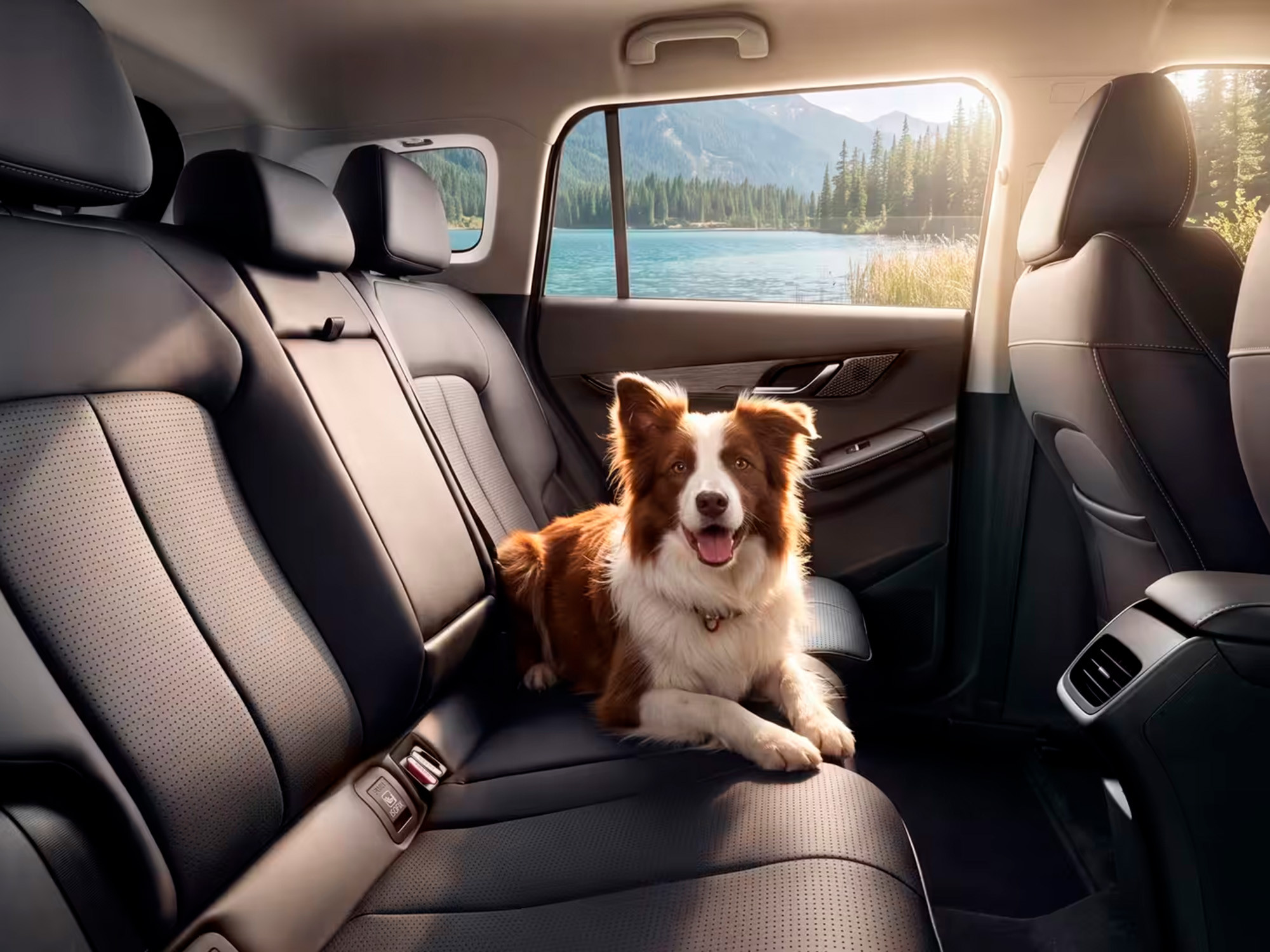 Jeland J6: Review of a Crossover for City and Country Routes
